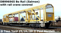 BR Salmons & Sturgeon fitted with rail lifting cranes YFA