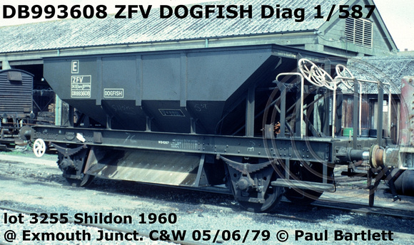 DB993608 ZFV DOGFISH