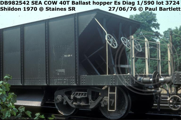 DB982542_SEA_COW__1m_ Staines 76-06-27