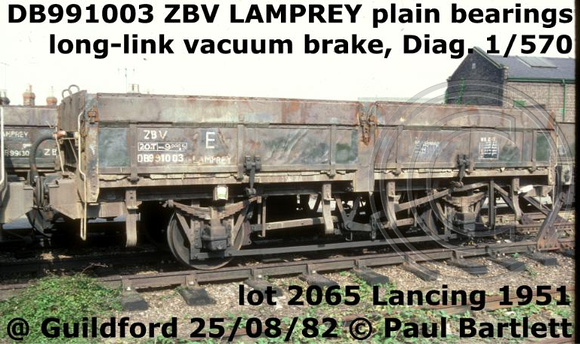 DB991003_ZBV_LAMPREY__1m_