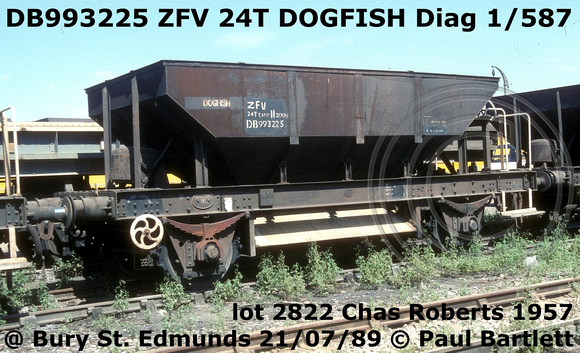 DB993225 ZFV DOGFISH