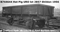 B744644_Hot_Pig_URO__m_