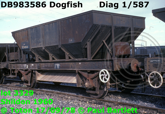 DB983586 Dogfish