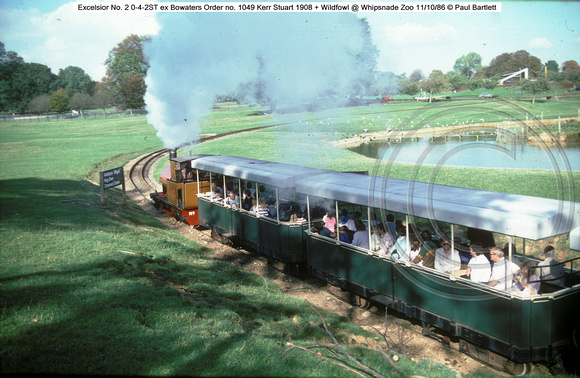 Excelsior No. 2   Wildfowl @ Whipsnade Zoo 86-10-11 � Paul Bartlett [1w]