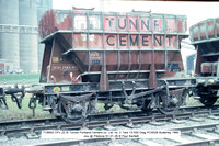 TC8952 CPV Tunnel Cement no. 2 oou @ Pitstone 91-01-26 � Paul Bartlett w