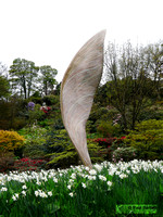 Sophistry (sycamore wing) @ Himalayan garden and sculpture park, Grewelthorpe � Paul Bartlett [2r]
