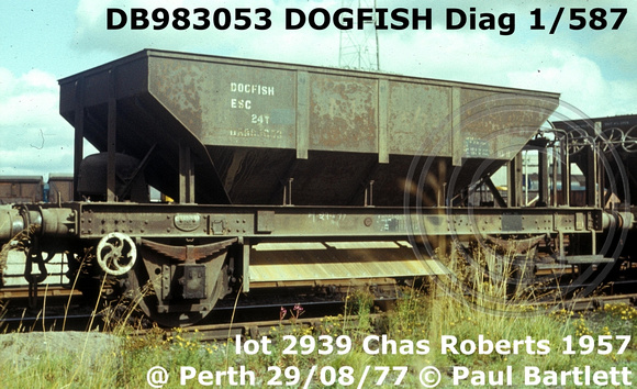 DB983053 DOGFISH