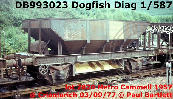 DB993023 Dogfish