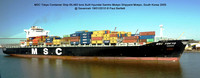 MSC Tokyo Container Ship @ Savannah 19-01-2010 � Paul Bartlett [1w]