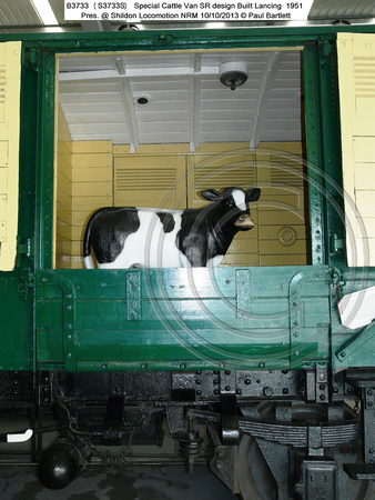 B3733 (S3733S) Special Cattle Van Pres. @ Shildon Locomotion NRM 2013-10-10 � Paul Bartlett [07]