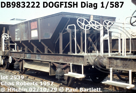 DB983222 DOGFISH