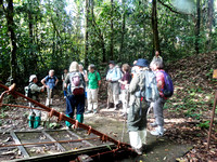 DSC00953 Borneo Rainforest Lodge, Danum Valley