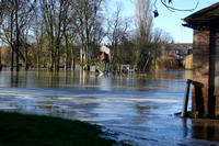 CRI02837 Flooded & Frozen Rowtree Park York 2021-01-25 © Paul Bartlett
