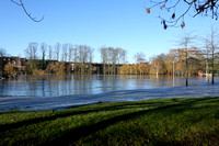 CRI02838 Flooded & Frozen Rowtree Park York 2021-01-25 © Paul Bartlett