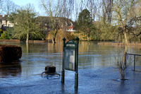 CRI02843 Flooded & Frozen Rowtree Park York 2021-01-25 © Paul Bartlett