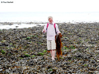 CPD points in exchange for seaweed Flamborough South Landing 12-07-2014  � Paul Bartlett [w]