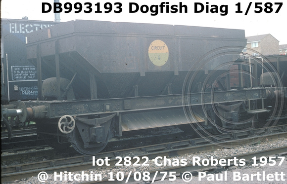 DB993193 Dogfish