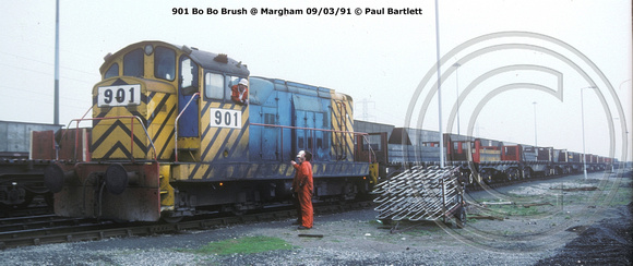 901 Bo Bo Brush @ Margham 91-03-09 � Paul Bartlett [1w]