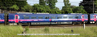802303 833303 Hull Trains Paragon coach c Standard class Electro-Diesel [Hitachi AT300 c2019] @ York Holgate Junction 2021-06-23 © Paul Bartlett w