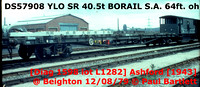 DS57908 YLO BORAIL S.A.