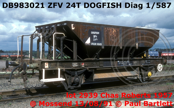 DB983021 ZFV DOGFISH