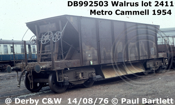 DB992503 Walrus