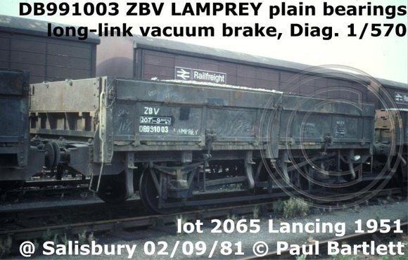 DB991003_ZBV_LAMPREY__2m_