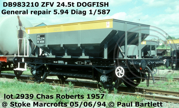 DB983210 ZFV DOGFISH