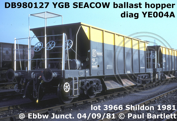 DB980127 YGB SEACOW