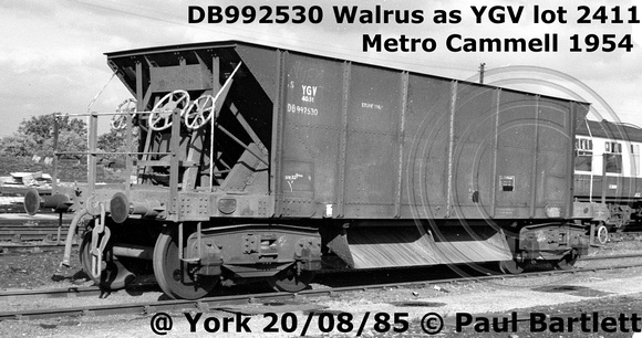 DB992530 Walrus general