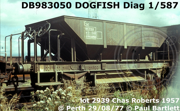 DB983050 DOGFISH