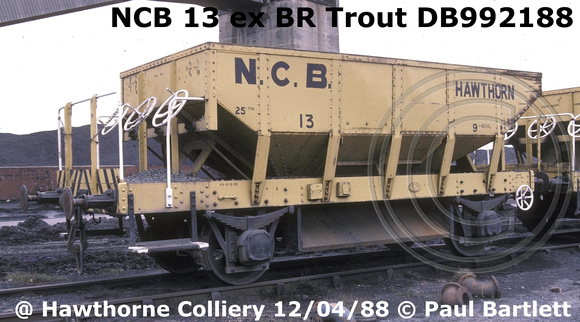 NCB 13 ex BR Trout