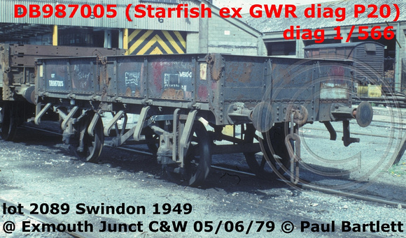 DB987005 (Starfish)