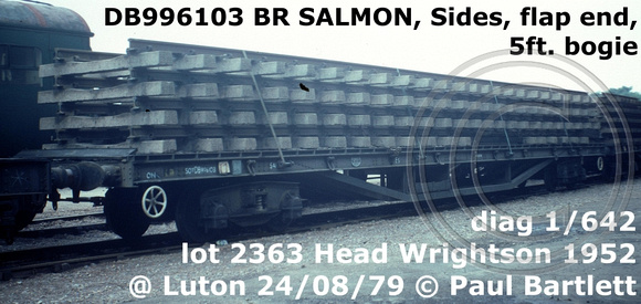 DB996103 SALMON