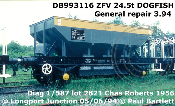 DB993116 ZFV DOGFISH