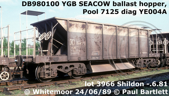 DB980100 YGB SEACOW