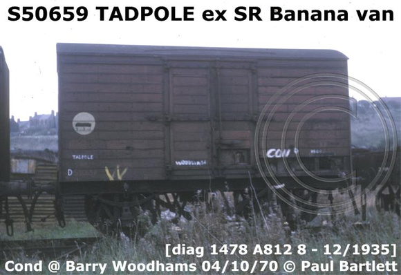 S50659_TADPOLE_SR_Banana__m_