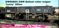 DW80805 rail roller 20t [2]