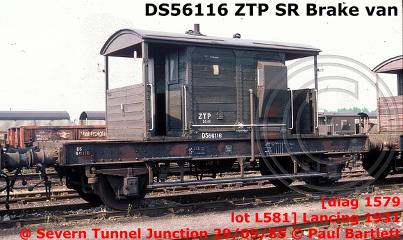 DS56116 ZTP