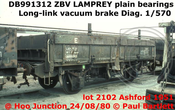 DB991312_ZBV_LAMPREY__1m_