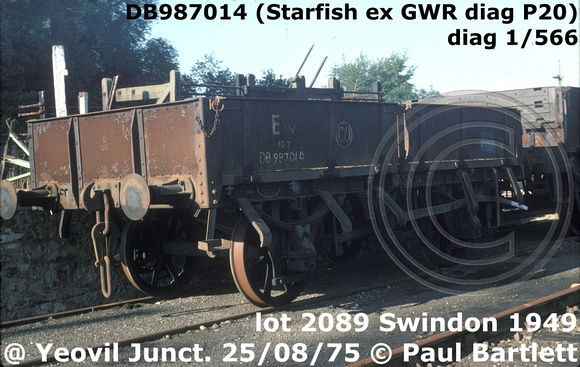 DB987014 (Starfish)