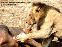 South East Africa 2008