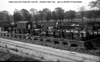 Cattle Dock north Derby MR 67-05-20 � Paul Bartlett w