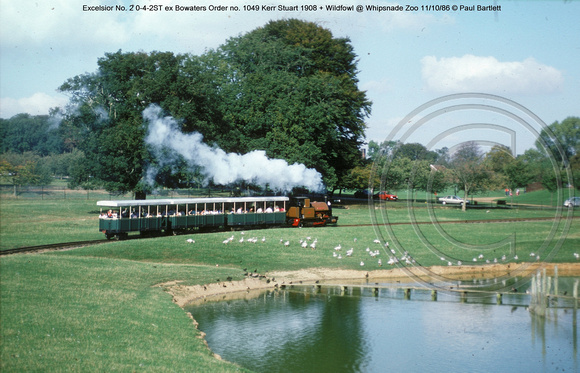 Excelsior No. 2   Wildfowl @ Whipsnade Zoo 86-10-11 � Paul Bartlett [2w]