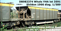 DB982374_Whale_1-589__m_