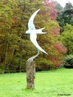 The Swift @ Himalayan garden and sculpture park, Grewelthorpe � Paul Bartlett r
