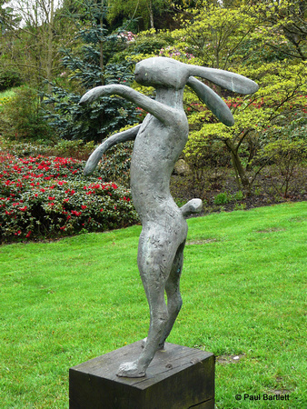Hare @ Himalayan garden and sculpture park, Grewelthorpe � Paul Bartlett [1r]