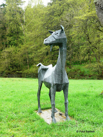 Goat @ Himalayan garden and sculpture park, Grewelthorpe � Paul Bartlett [1r]