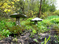 Steel mushrooms @ Himalayan garden and sculpture park, Grewelthorpe � Paul Bartlett [1r]