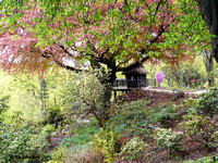 Summer house @ Himalayan garden and sculpture park, Grewelthorpe � Paul Bartlett [1r]